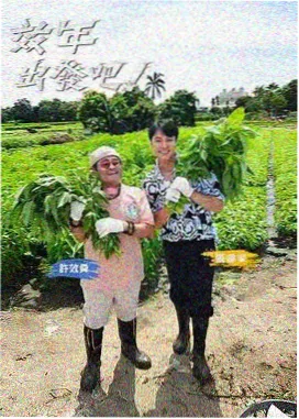 电视剧高清视频 - 青柠影院